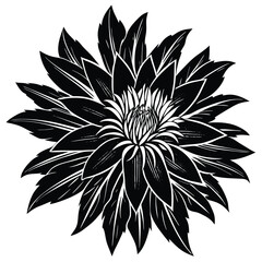 Adobe Illustrator ArtworkTrout Lily Flower Single Line Drawing with Editable Stroke and Boho Color Elements