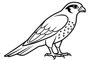 Fototapeta premium Falcon line art outline clean vector