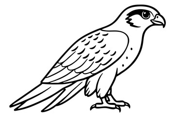 Falcon line art outline clean vector