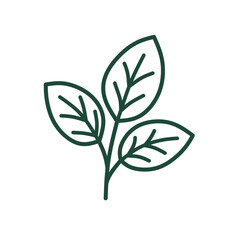A minimalist vector of leaf logo