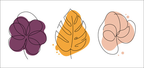 leaf,autumn,colors high resolution vector seasonal set for fall branding packaging labels graphics for digital promotion and social media cozy harvest themes