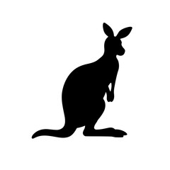 kangaroo vector illustration