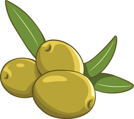Olive Vector Art isolated on white background