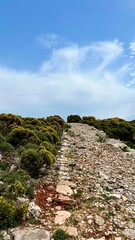 Fototapeta premium Vertical photo. A stone-paved road winds through low vegetation under a blue sky on Kastellorizo Island, Greece. Mediterranean landscape, hiking in Greece, summer vacation, computer wallpaper. 