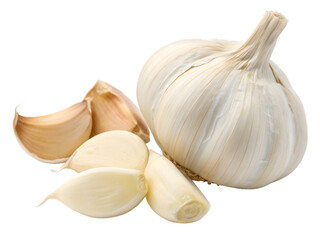 Fresh Raw Garlic Bulb and Cloves Still Life Food
