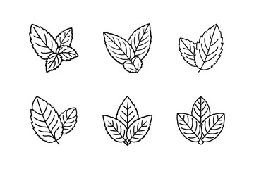 mint leaf icon line art vector illustration © MST