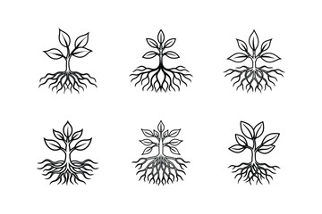plant roots icon line art vector illustration