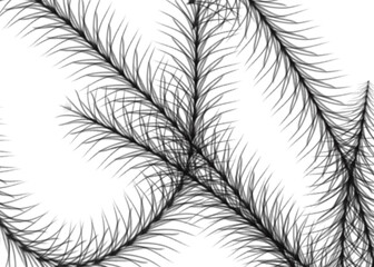 Obraz premium feathers seamless pattern