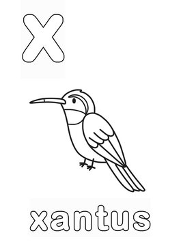 Alphabet Coloring Page for Kids. Children's Coloring Activity sheet. Cute Xantus Illustration to Color.	