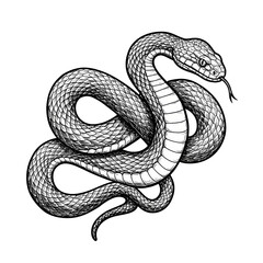 Obraz premium Engraved Snake Art