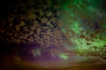 Northern lights. Aurorta borealis nature landscape at night