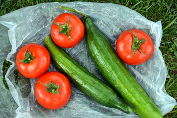 Tomatoes and cucumbers in plastic bag on green grass background. Plastic bag full of fresh organic vegetables on the table in the garden. Red tomatoes and green cucumbers