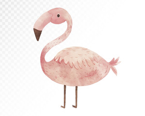 Watercolor Pink Flamingo Vector Illustration for Nature Themes in Soft Colors for Nursery Decor and Wildlife Art Prints