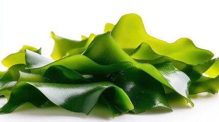 A close-up of fresh, vibrant green seaweed, showcasing its smooth, wavy texture, often used in culinary dishes and recognized for its nutritional benefits.