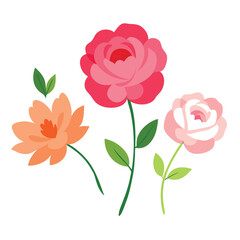 Fototapeta premium peony and wildflower watercolor combination on white