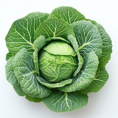 Fototapeta premium Beautiful decorative cabbage leaves high resolution for isolate image
