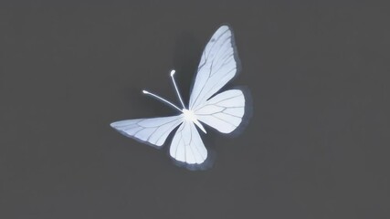 4K animated clip featuring glowing white butterfly smooth fluid flight path alpha channel ideal magical fairytale scenes event overlays