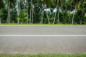 Side view of asphalt road with beautiful coconut palm trees farm at Thailand. Road in summer season. road background.