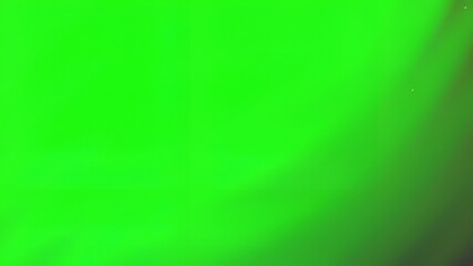 Uniform bright green background with slight color variations.