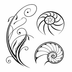 Nautiluses and floral swirls elegant black and white design