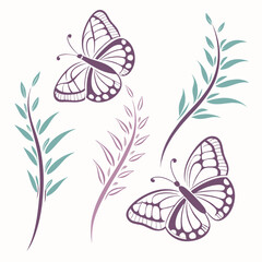 Elegant butterfly and floral design element illustration