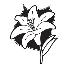 Lily Flower – Elegant Botanical Art and Wedding Floral Visuals for Creative Projects