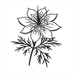 Fototapeta premium Love-in-a-Mist Flower – Whimsical Blooms and Fine Botanical Elements for Romantic Projects