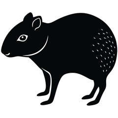 agouti sihouette