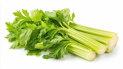 Fresh green celery stalks with vibrant leaves