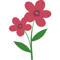 Flower Illustration