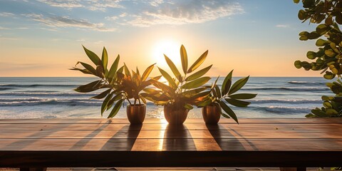 palm trees at sunset