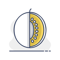 Melon isolated design vector icon. Fruit sign