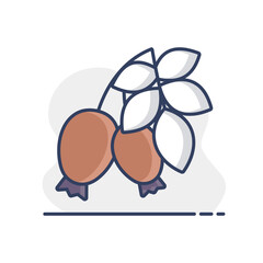 Rose hip berries and leaves vector icon