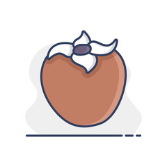 Persimmon, kaki or sharon fruit vector icon