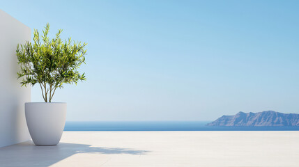 Serene rooftop view featuring potted plant against clear blue sky and ocean backdrop, evoking tranquility and relaxation