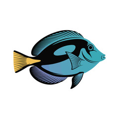 Vibrant Blue Tang fish in a dynamic silhouette, on a clean white background