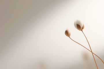 minimalist design featuring thin lines on ultrabright light background emphasizing single elegant element in center