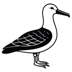 albatross vector sihouette