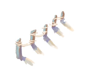 Row of rustic wooden posts tied with rough rope, coastal watercolor clipart illustration, hand-painted and isolated on white background for nautical, beach, or marine-themed designs