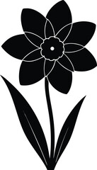 black and white flower