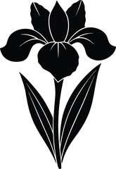 black and white flower vector