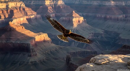 Majestic eagle in flight over layered canyon landscape natural beauty