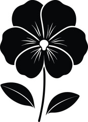 black and white flowers