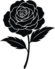 black rose vector illustration