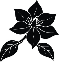 black and white flower