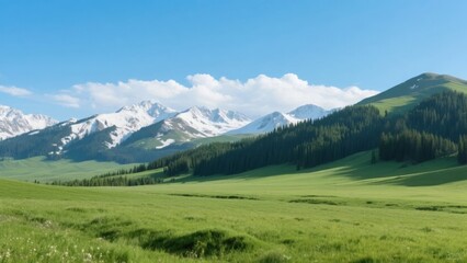 Fototapeta premium Lush Green Valley with Snow-Capped Mountains