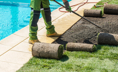 Worker Installs Sod Around a Swimming Pool Area on a Sunny Day, Enhancing Outdoor Landscape Features
