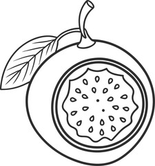 passion fruit vector outline icon on white or transparent background