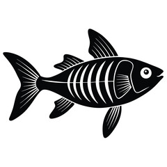 x ray tetra vector fish