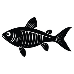 x ray tetra vector fish